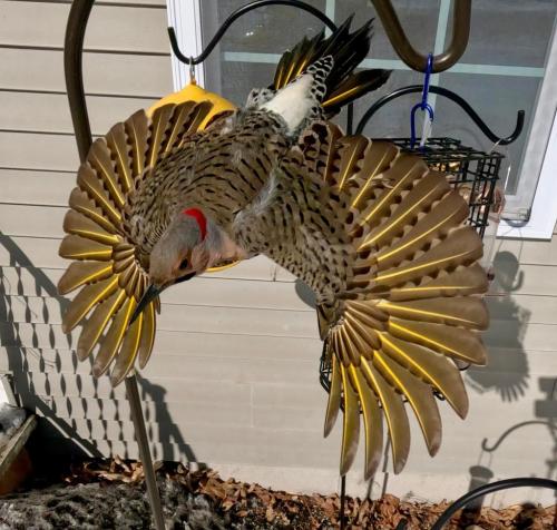 RDT_20250220_1023209202411689404348152