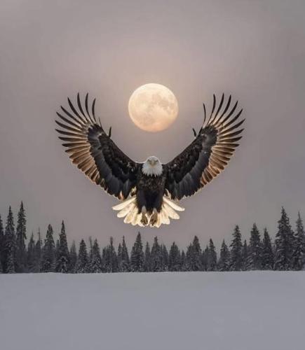 Screenshot_20250210-133111_Facebook