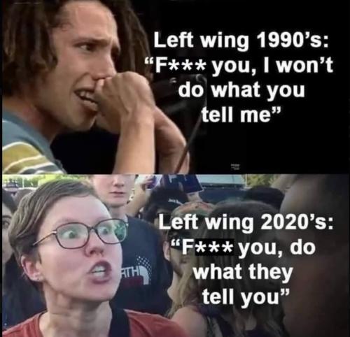 FB_IMG_1740257390208