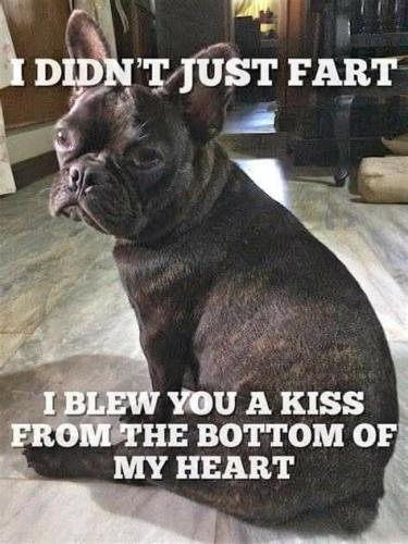 FB_IMG_1739482468703