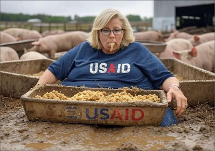 government efficiency24