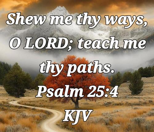 fda8222a-39ed-499b-a017-59cec6899099