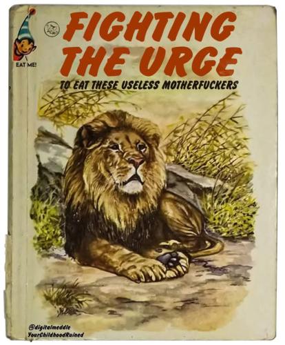 FB_IMG_1740238116062