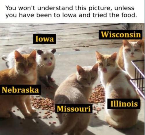 8ce3ca70-1c92-4964-9975-87948da6c3f3