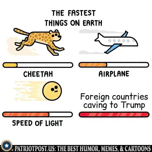 01JKR187CQ2G1SJYN6TY9NPD5H