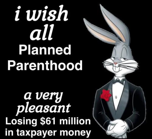 Good abortion is defunded