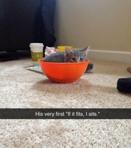 his-very-first-if-fits-sits