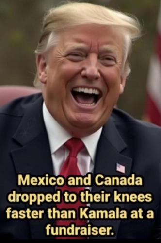 Screenshot_20250205-161001_Wimkin Free Speech Social Media