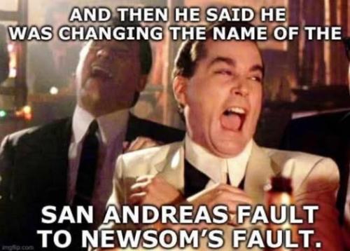 newsomes_fault