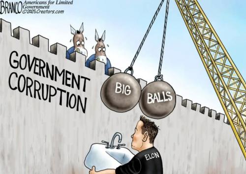 FB_IMG_1739295419314