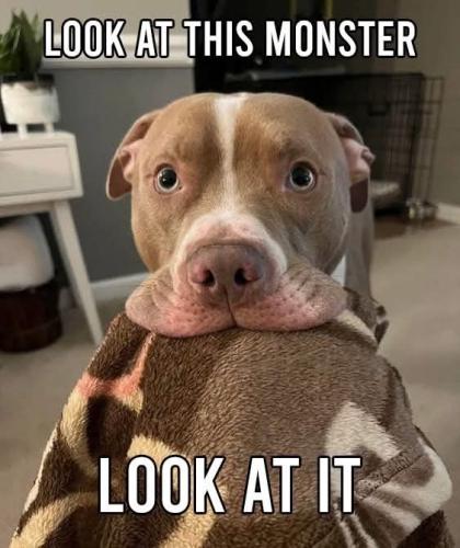 FB_IMG_1739487735566