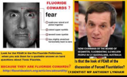 878E02BB-BBE7-4AA3-B631-EB087F2436C3