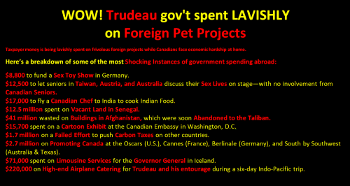 foreign pet projects