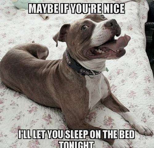 FB_IMG_1739315671856