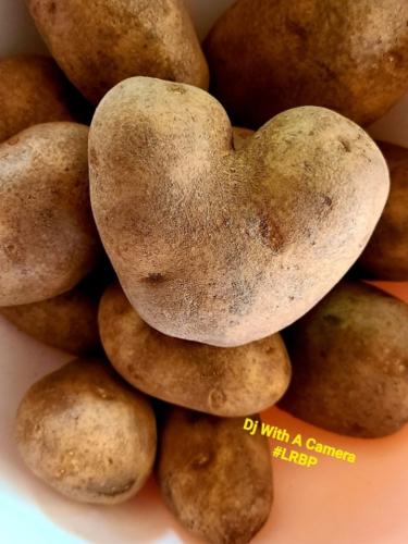 Screenshot_20250211_065501_Gallery