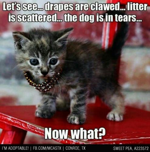 e6c8af39043ddfdd3a8320bb9fa570e0