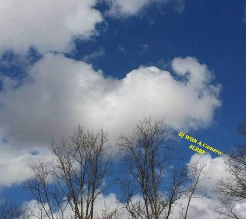 Screenshot_20250210_144406_Gallery