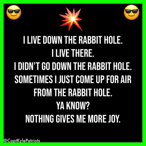 IMG_20250215_132444_383