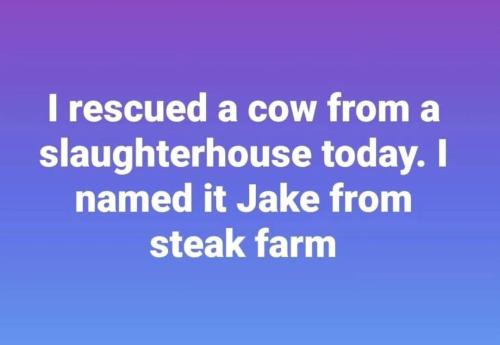 FB_IMG_1740596648064