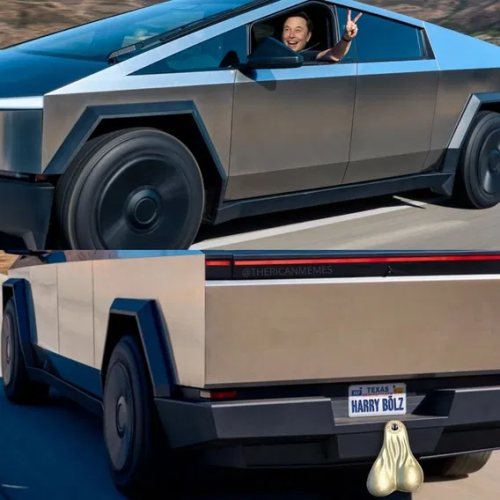 image_2025-02-12_063105646