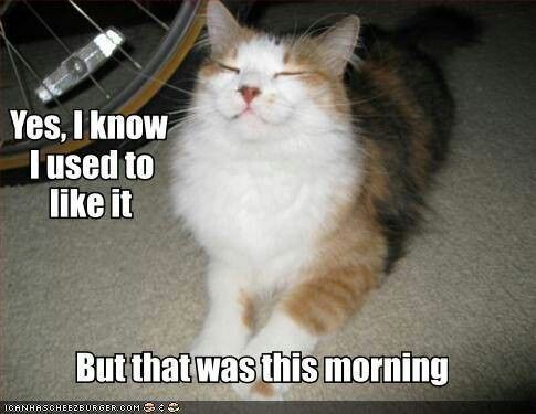 b0775ed41a5c324888a15498456b6c4d