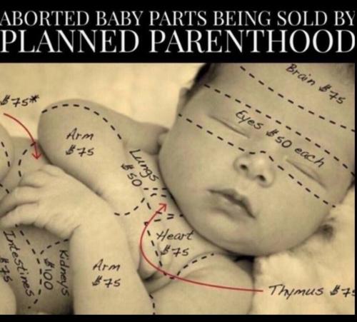 a628c4df-b5d8-40bd-9c66-283019a7e04c