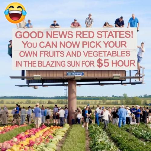 FB_IMG_1739734805862