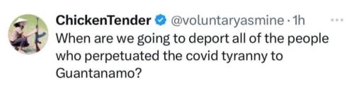 photo_2025-02-01_21-32-48