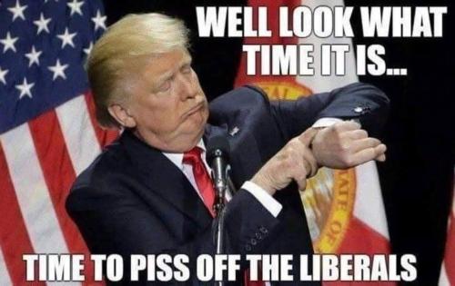 FB_IMG_1739118160295