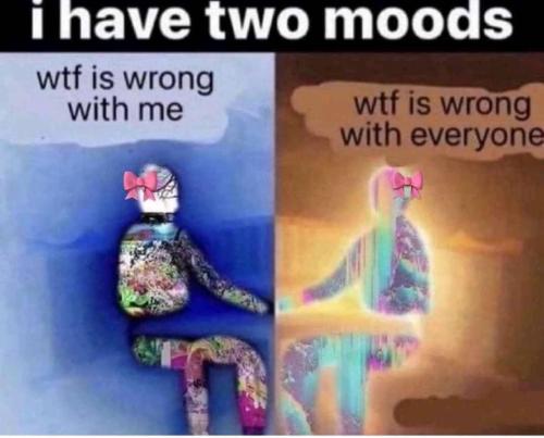 480488801_9282293108517836_1256917650673560594_n