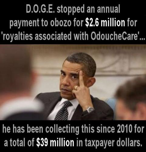 government efficiency48