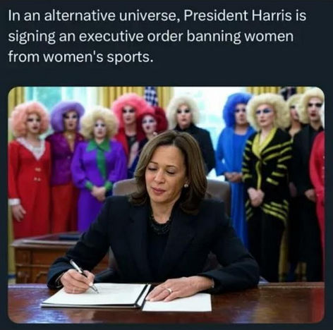 kamala harris642