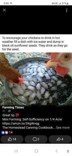 Screenshot_20250209_170539_DuckDuckGo