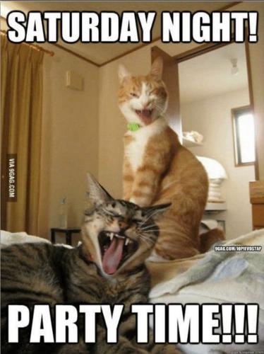 Screenshot_20250215_171632_Gallery