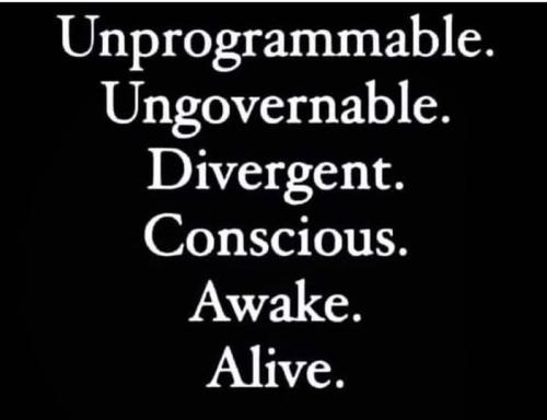 82b75049e90c26f8e44a26d2665dd941_1024