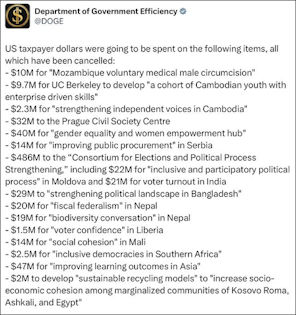 government efficiency30