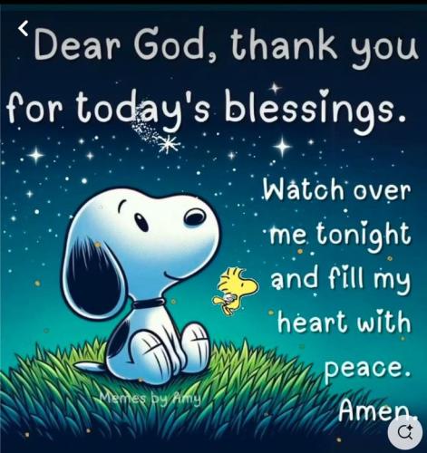 271e07063303fd67f0573a2abb3b8bd1