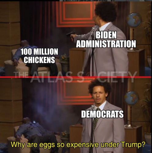 Screenshot 2025-02-10 062251