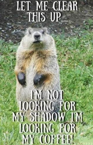 FB_IMG_1738508625595