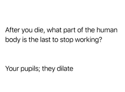 FB_IMG_1740691440801