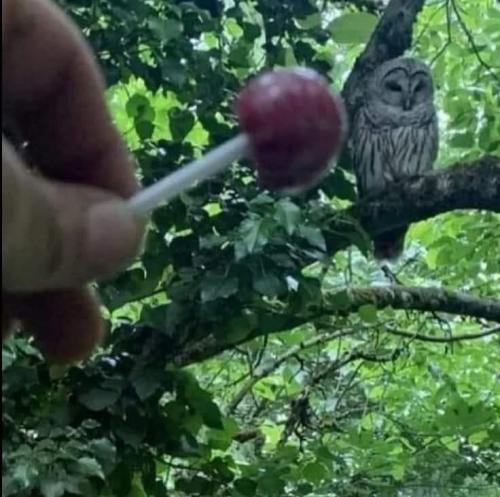 B92406D4-80B5-49DC-B81A-ADDF9C23B6A1