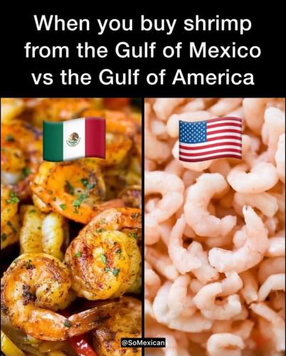 FB_IMG_1740238851382