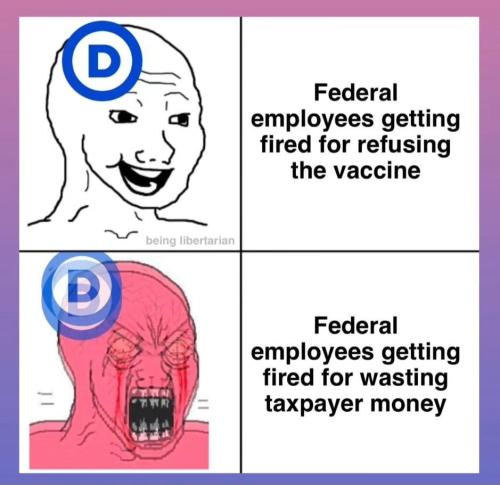 Screenshot_20250209_102129_Instagram