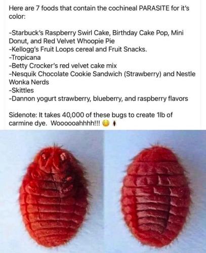 IMG_20250212_210519_703