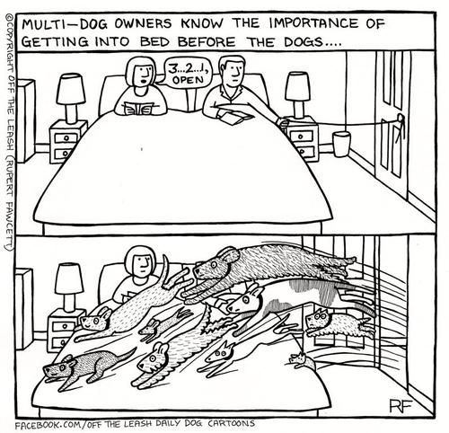 9523fbea17bdb0be320e64d9c158a69b