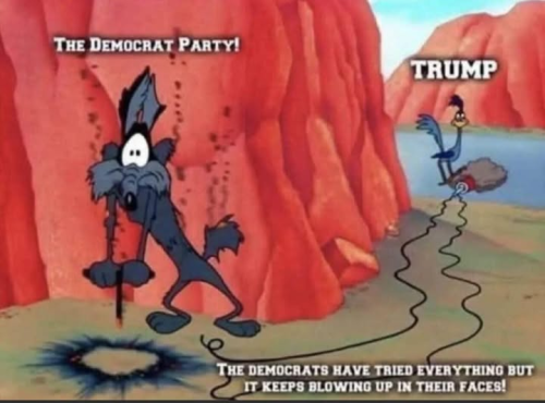 image_2025-02-11_174232681