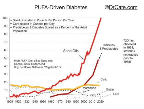 PUFA Polyunstaurated Fats -Diabetes