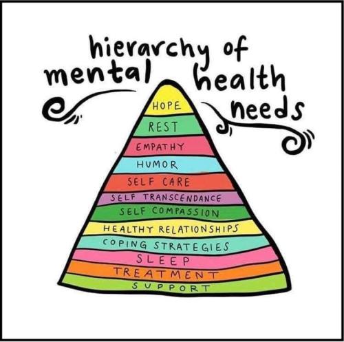 1A-Mental Health Needs