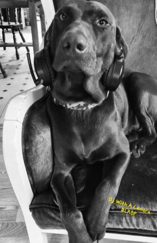 Screenshot_20250222_101519_Gallery