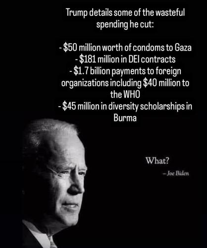 photo_2025-01-31_22-24-35